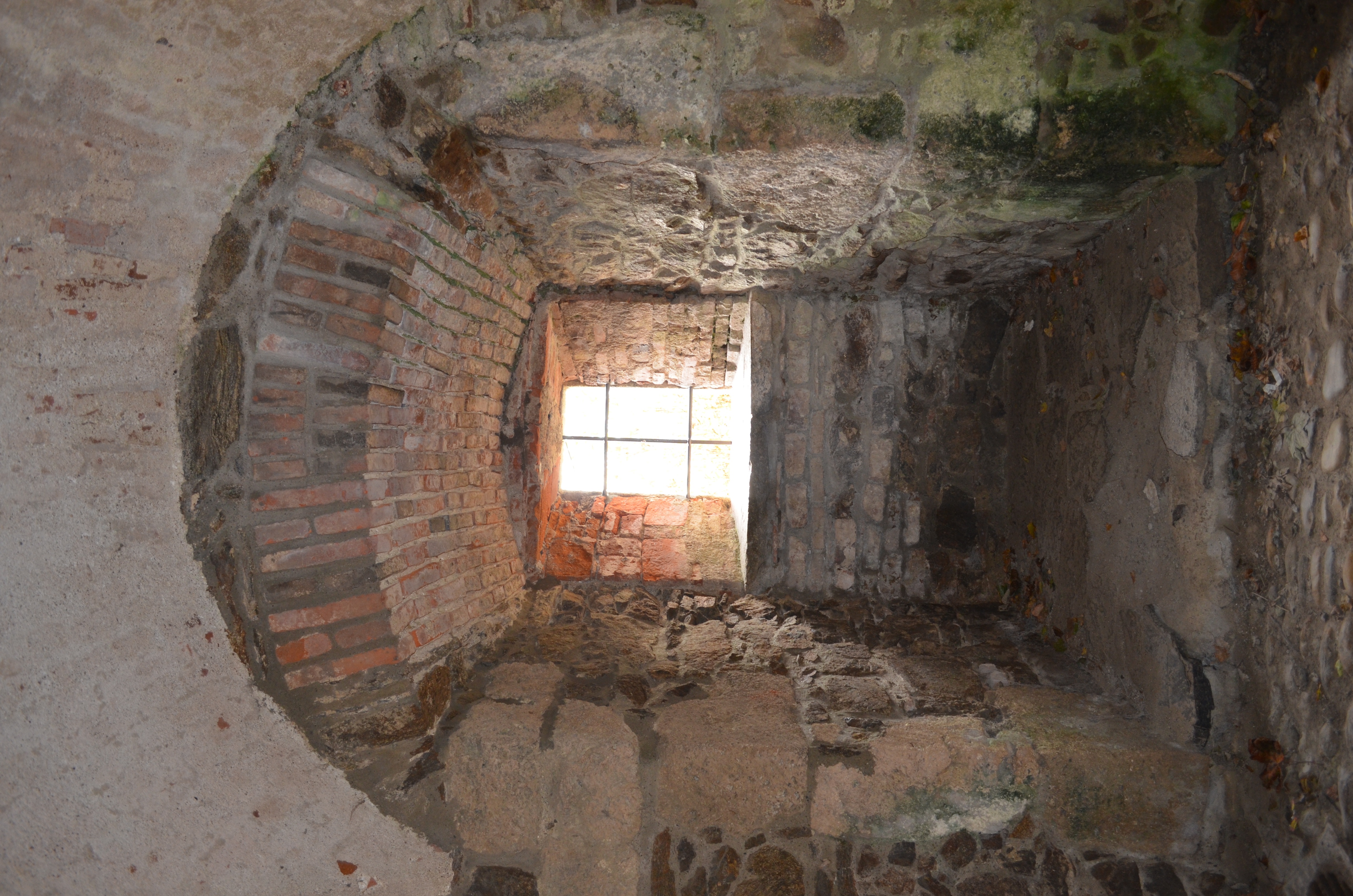 ./2017/19 - Viking Lif/04 - Passau, Germany/DSC_10049.JPG